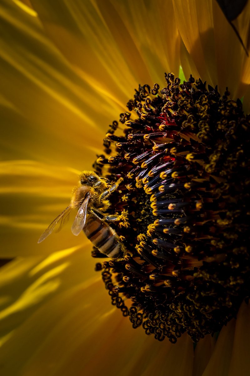 Meandering Max tweet media