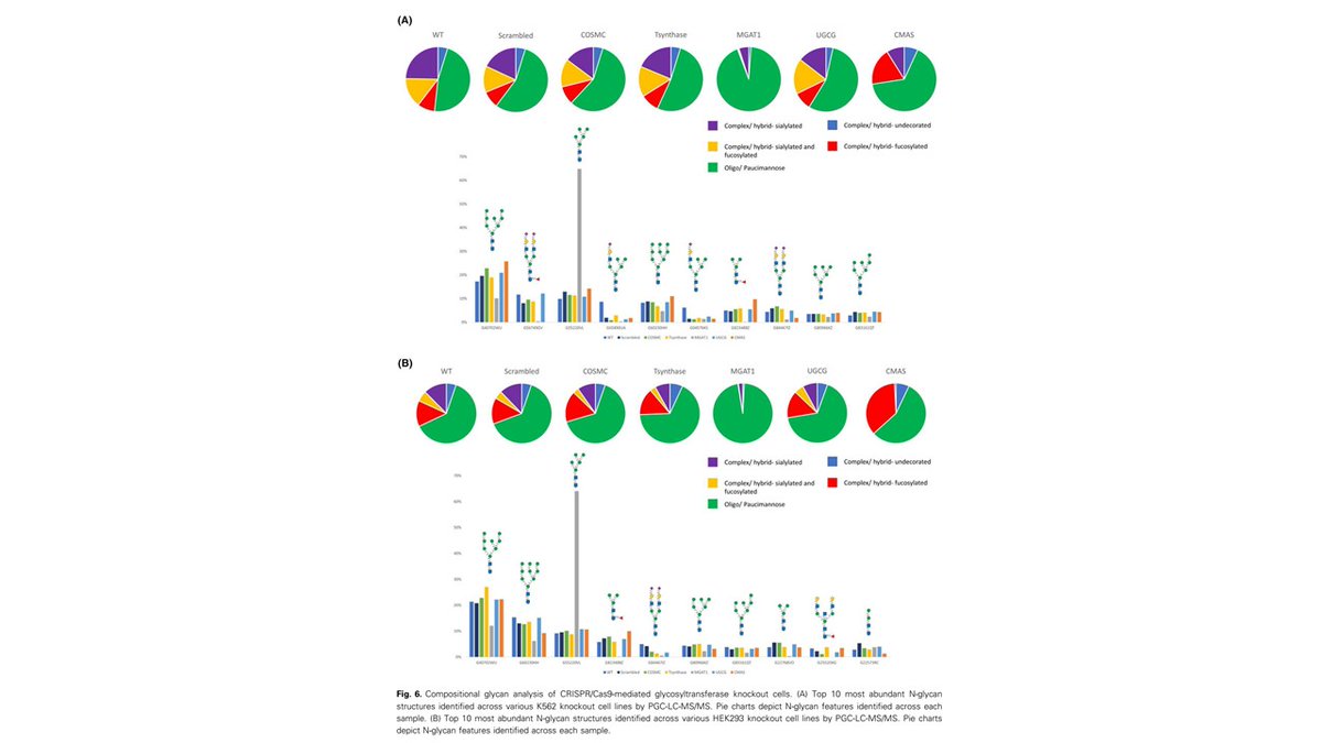 CzerwinsMarcin's tweet image. Two novel lamprey MoAbs highly specific for the H type and H type II antigens allow to study the function and expression of H type II antigens in various N- and O-glycans.
tinyurl.com/5n8kwb2e
#glycotime