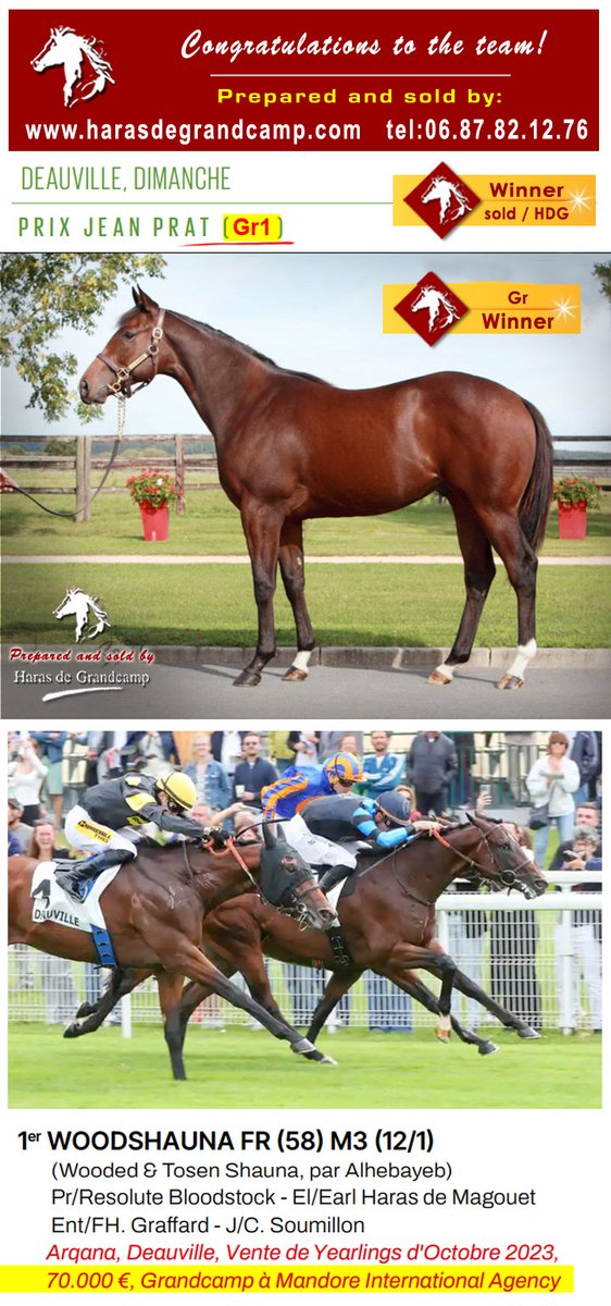 17th Stakes success for a horse born, raised or sold by HDG, since the 01.01.2025 ...🙂
Congratulations #WOODSHAUNA, and team, 1st Prix Jean Prat - Gr1 / Deauville - 2025.07.06
Detail: 2 x Gr1W, 2 x Gr1pl, 2 x Gr2pl, 1 Gr3W, 3 x Gr3pl, 4 x LRW, 3 x LRpl 
harasdegrandcamp.com