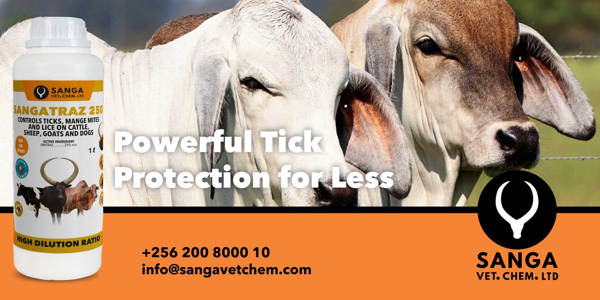 sangavetchem's tweet image. Tick infestations can seriously drain your profits—but treating them doesn't have to. SANGATRAZ 250 delivers powerful protection against ticks, mites, and lice with a high-strength 25% amitraz formula.
- You use half the amount compared to standard 12.5% amitraz products, saving…