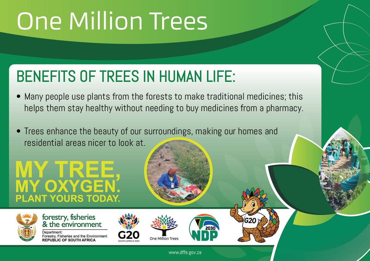 GovernmentZA's tweet image. #OneMillionTrees | Benefits of trees in human life - 🌳✨ Trees beautify our surroundings and make our homes and communities pleasant places to live. 

The  launch the 1 Million Trees campaign at the Pretoria National Botanical Gardens #MyTreeMyOxygen #TreesForTheFuture…