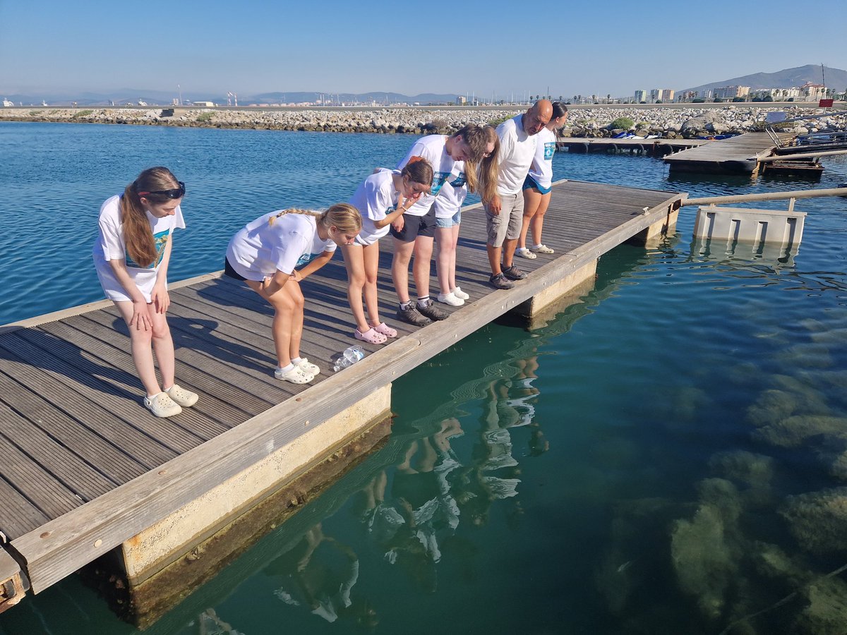 Thornleigh MFL (@tsc_mfl_dep) on Twitter photo First session ... introduction ... orientation and outdoor learning π’π <a href="/thornleigh/">Thornleigh</a> <a href="/TSC_SixthForm/">Thornleigh Sixth Form</a> <a href="/NautilusGib/">The Nautilus Project</a> <a href="/TuringScheme_UK/">Turing Scheme UK</a> First session ... introduction ... orientation and outdoor learning π’π <a href="/thornleigh/">Thornleigh</a> <a href="/TSC_SixthForm/">Thornleigh Sixth Form</a> <a href="/NautilusGib/">The Nautilus Project</a> <a href="/TuringScheme_UK/">Turing Scheme UK</a>