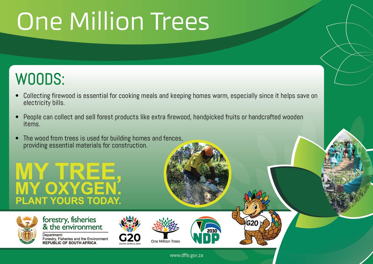 GovernmentZA's tweet image. #OneMillionTrees | South Africa&apos;s biodiversity is conserved and enhanced to deliver sustainable benefits for all. - @SANBI_ZA @environmentza #MyTreeMyOxygen #TreesForTheFuture #GovZAUpdates