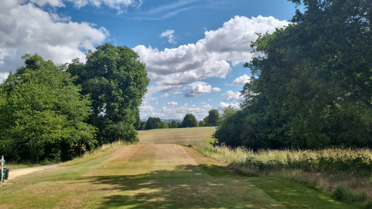 Ray Bird tweet media