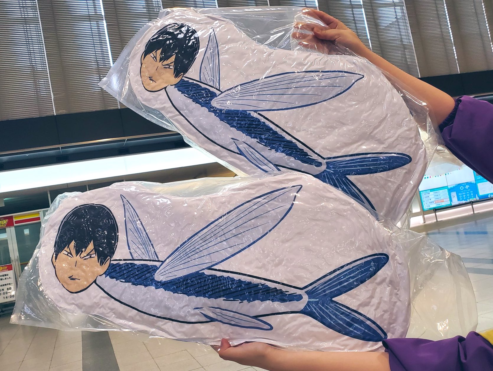 ハイキューファンパーク かげやまトビウオつかみ取り B賞 魚拓風