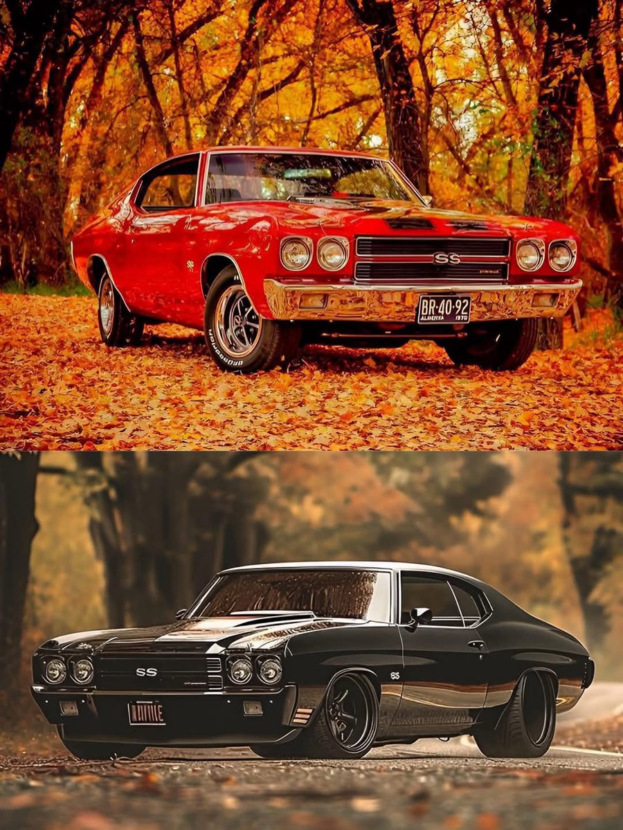 Vintage Cars Collection tweet media