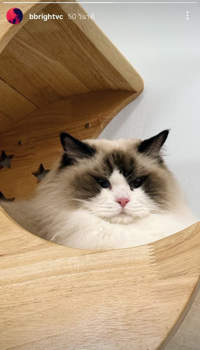 [ BRIGHT INSTAGRAM UPDATE ] - 07.07.25

🐱

IGs : bbrightvc

#bbrightvc