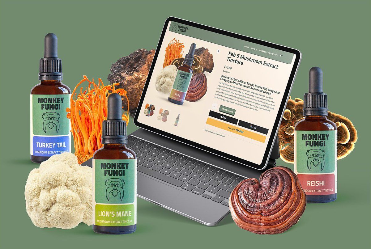 EyetoothDesign's tweet image. Monkey Fungi wanted to stand out in the wellness space — so I gave them branding, packaging, and an ecommerce shop with real character.

Full project: eyetooth.design/portfolio/mush… 

✨ #BrandDesigner #HealthProductBranding #MushroomTincture
