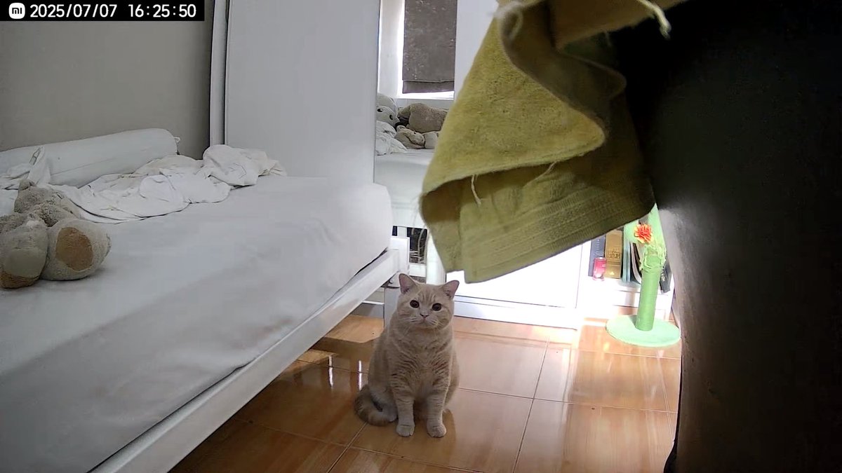 สงสารนางอ่าอยู่คนเดียววันนี้ อยากพกมาทำงานด้วยจริงๆ