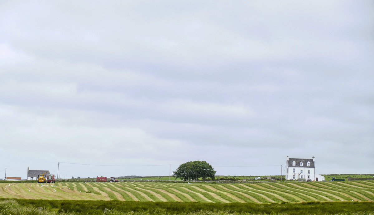 Busy getting the silage in on Islay today.