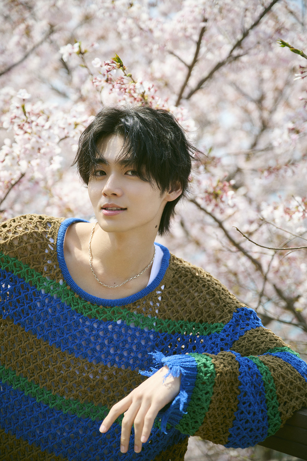 井内悠陽カレンダー 2025.04-2026.03 3点セット チェキ風生写真