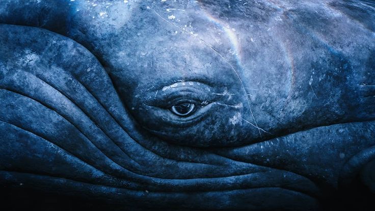 평생 품고 살던 바다가 자신의 눈에 있었을 줄은 꿈에도 몰랐겠지