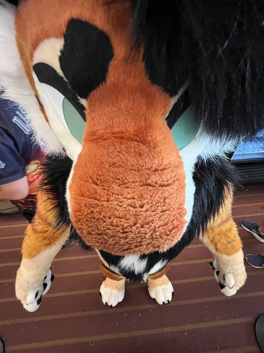 Anthrocon good
