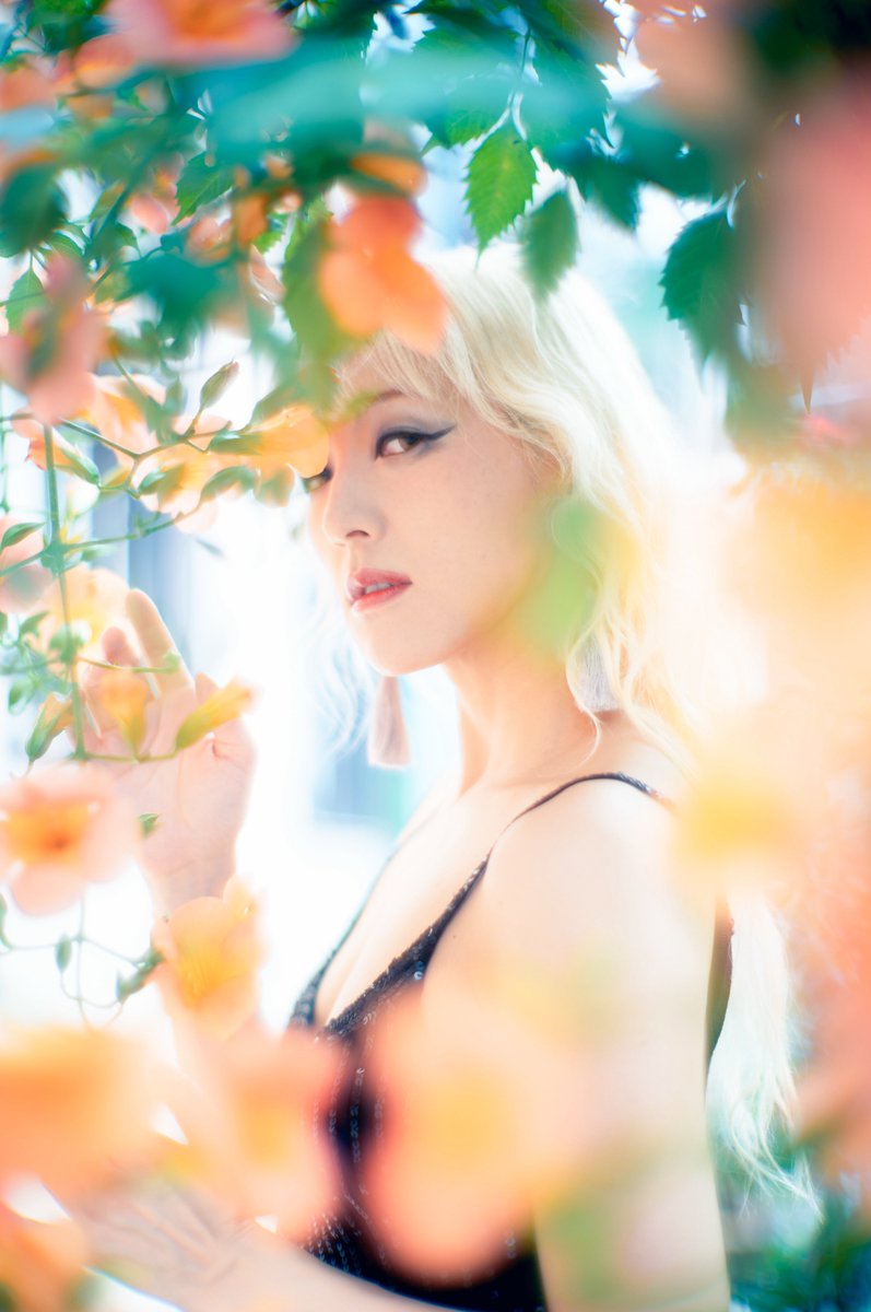 あいだうたい🧚 tweet media