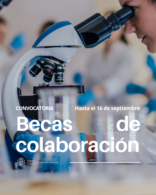 Si eres estudiante universitario y quieres llevar a cabo un proyecto de investigación, pide ya una de las 2.431 becas de colaboración disponibles para el curso 2025-2026.  

Tienes hasta el 16 de septiembre👇
educacionfpydeportes.gob.es/servicios-al-c…