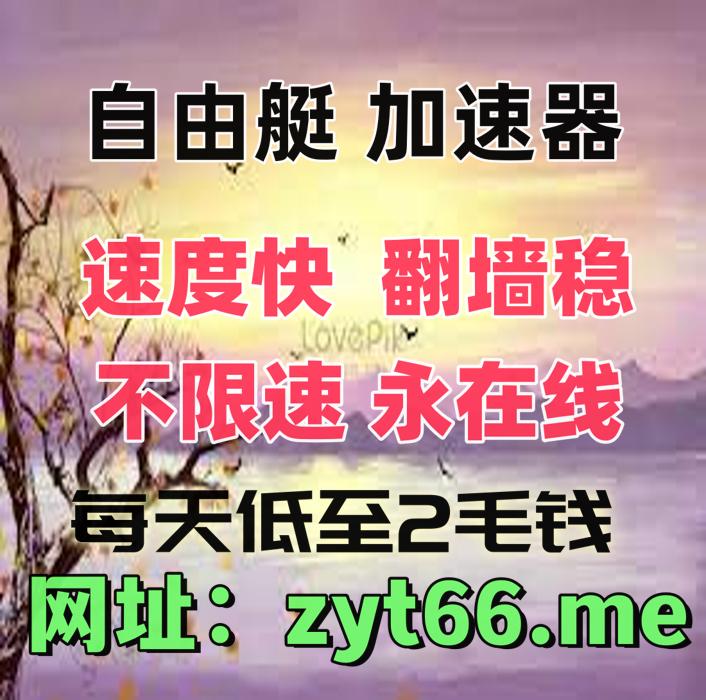 VPN加速器翻墙软件梯子 tweet media