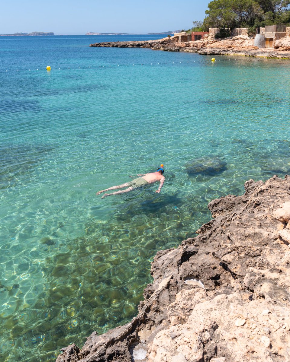 Descubre la vida marina de Sant Antoni🤿 💦
La costa de Sant Antoni te propone 5 rutas de esnórquel para sumergirte en aguas transparentes y explorar un fondo marino lleno de color, vida y tranquilidad

Visit.santantoni.net/que-hacer/acti…

#EsnórquelSantAntoni #VisitSantantoni