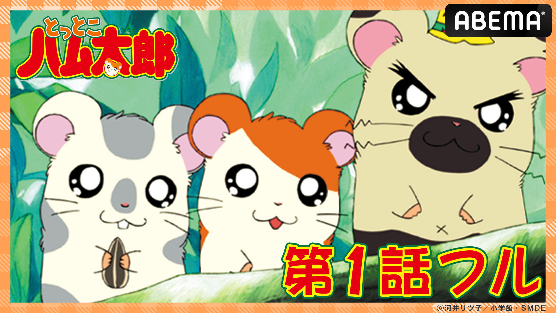 ハム太郎 Amazon.co.jp: とっとこハム太郎(10) [VHS] : 間宮くるみ, 池澤
