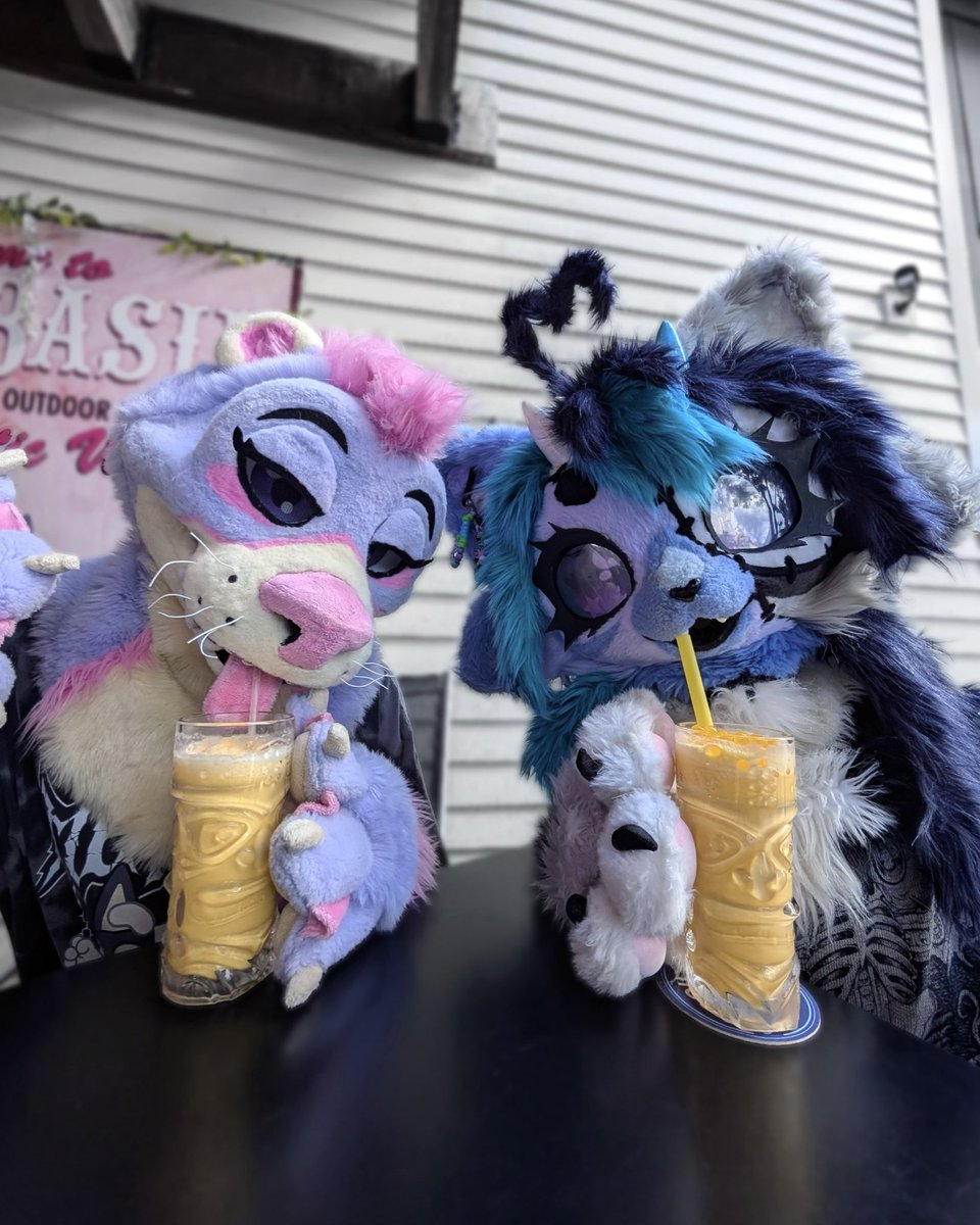 public display of creature behavior ᯓ★