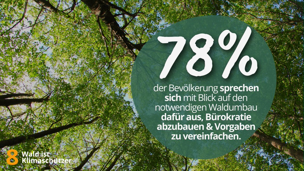 📊78 % der Menschen in Deutschland fordern: Weniger Bürokratie beim Waldumbau!🌳 Der Weg zu klimaresilienten Wäldern braucht einen praxisnahen   Rahmen. Und Gestaltungsspielraum ohne unnötige Hürden.🔗wald-ist-klimaschuetzer.de/umfrage/