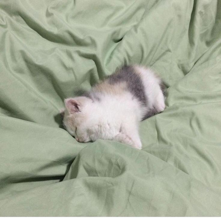 Eepy