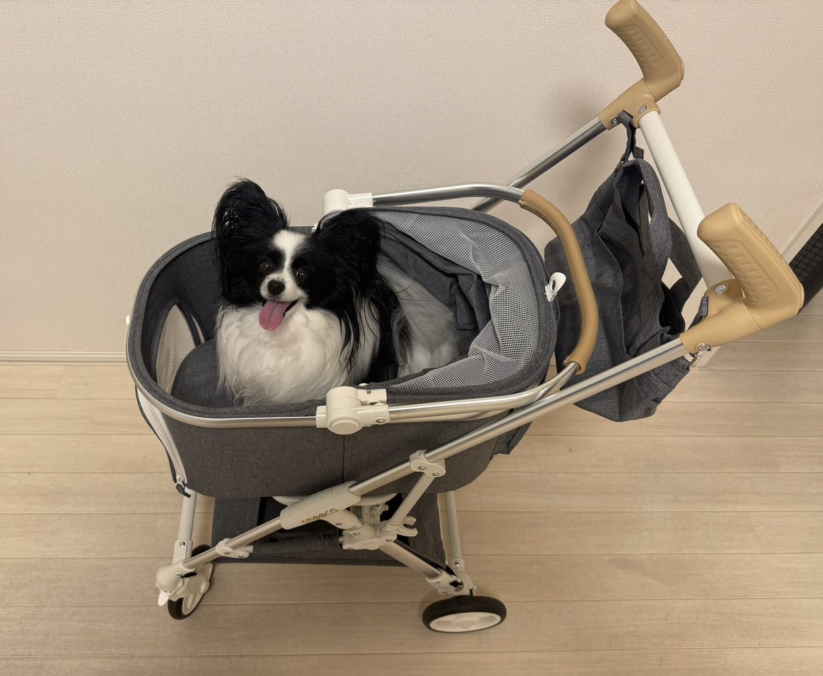 ♥夏の大特価Sale‼️イギリスお目目の可愛いドックカート②❤️ 中古・型落ちペットカートの格安通販 – Rentio Outlet
