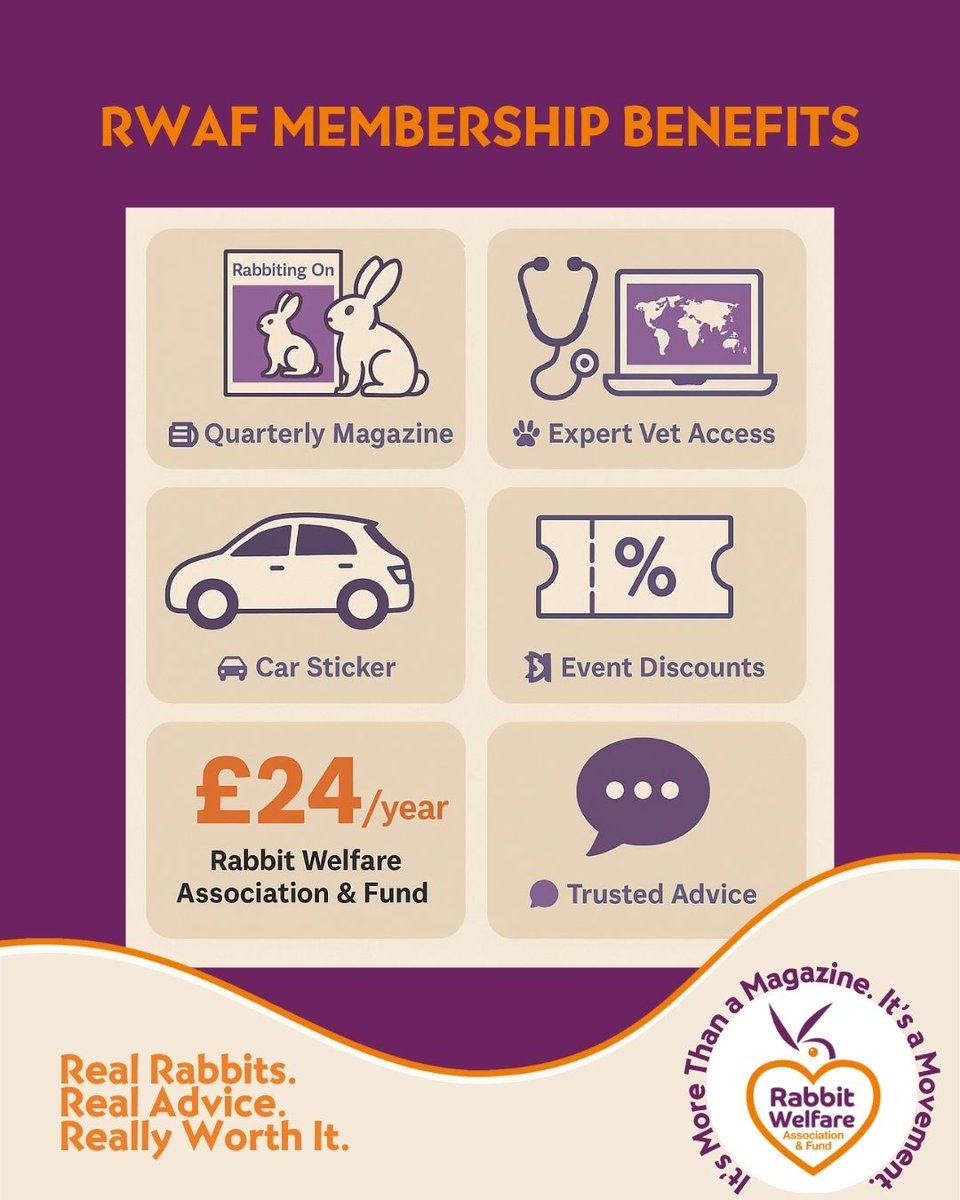 RabbitRWAF's tweet image. 🐰 Love rabbits? Join RWAF for just £24/year!
✅ Quarterly Rabbiting On magazine
✅ Vet-to-Vet advice service
✅ Digital back issues
✅ Event discounts
✅ Support better bunny welfare
Join here 👉 rabbitwelfare.co.uk/join-our-happy…