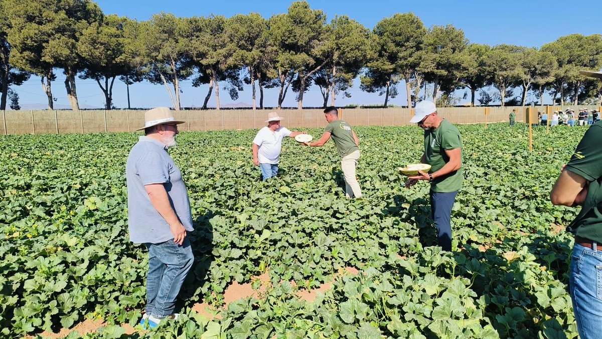 EmuriInnova's tweet image. 🌱 ¡En la Región de Murcia la #innovación también se cultiva!
Durante los 'Melon & Watermelon Innovation Days' demostramos por qué nuestro territorio es epicentro de #innovación agroalimentaria. 🔬🍉
Lee aquí toda la información: murciadiario.com/articulo/secto…