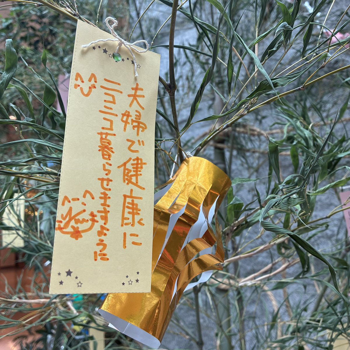 お願い事したぁ？🎋