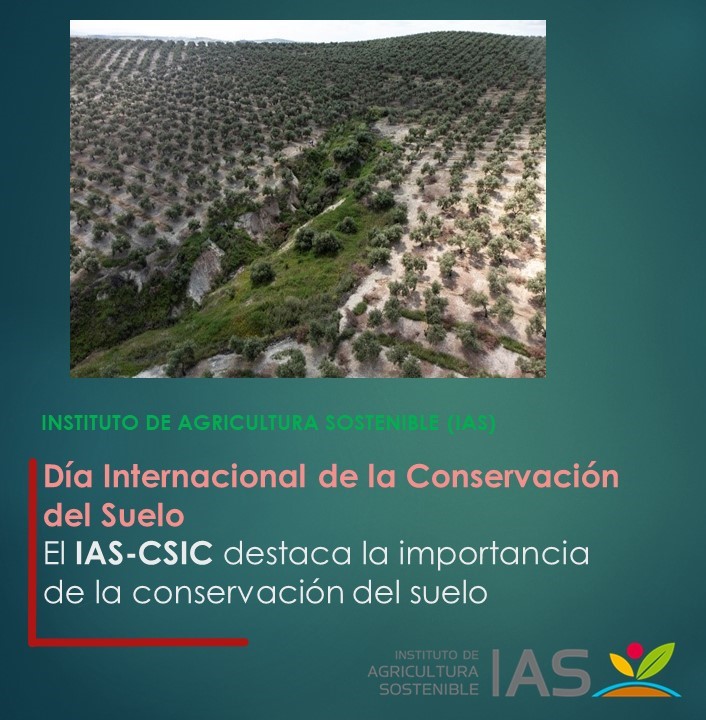 IAS-CSIC (@ias_csic) on Twitter photo 🌎🌱🌳El IAS-CSIC destaca la importancia de la conservación del suelo
ias.csic.es/?p=38528
#DíaInternacionalConservacióndelSuelo #cienciaparalaagricultura #CSIC
<a href="/CSICdivulga/">CSIC Divulga</a> <a href="/IAS_CSIC/">IAS-CSIC</a> <a href="/erosionlab_ias/">Laboratorio de Erosión-Soil Erosion Lab</a>
<a href="/Project_TUdi/">TUdi Project</a> <a href="/SoplasITN/">Soplas</a> <a href="/Shui_eu/">SHui</a>
<a href="/JoseAlf26217917/">Jose Alfonso Gomez Calero</a> <a href="/Jose_Munii/">Jose Muñoz</a> @JavierMnst 🌎🌱🌳El IAS-CSIC destaca la importancia de la conservación del suelo
ias.csic.es/?p=38528
#DíaInternacionalConservacióndelSuelo #cienciaparalaagricultura #CSIC
<a href="/CSICdivulga/">CSIC Divulga</a> <a href="/IAS_CSIC/">IAS-CSIC</a> <a href="/erosionlab_ias/">Laboratorio de Erosión-Soil Erosion Lab</a>
<a href="/Project_TUdi/">TUdi Project</a> <a href="/SoplasITN/">Soplas</a> <a href="/Shui_eu/">SHui</a>
<a href="/JoseAlf26217917/">Jose Alfonso Gomez Calero</a> <a href="/Jose_Munii/">Jose Muñoz</a> @JavierMnst