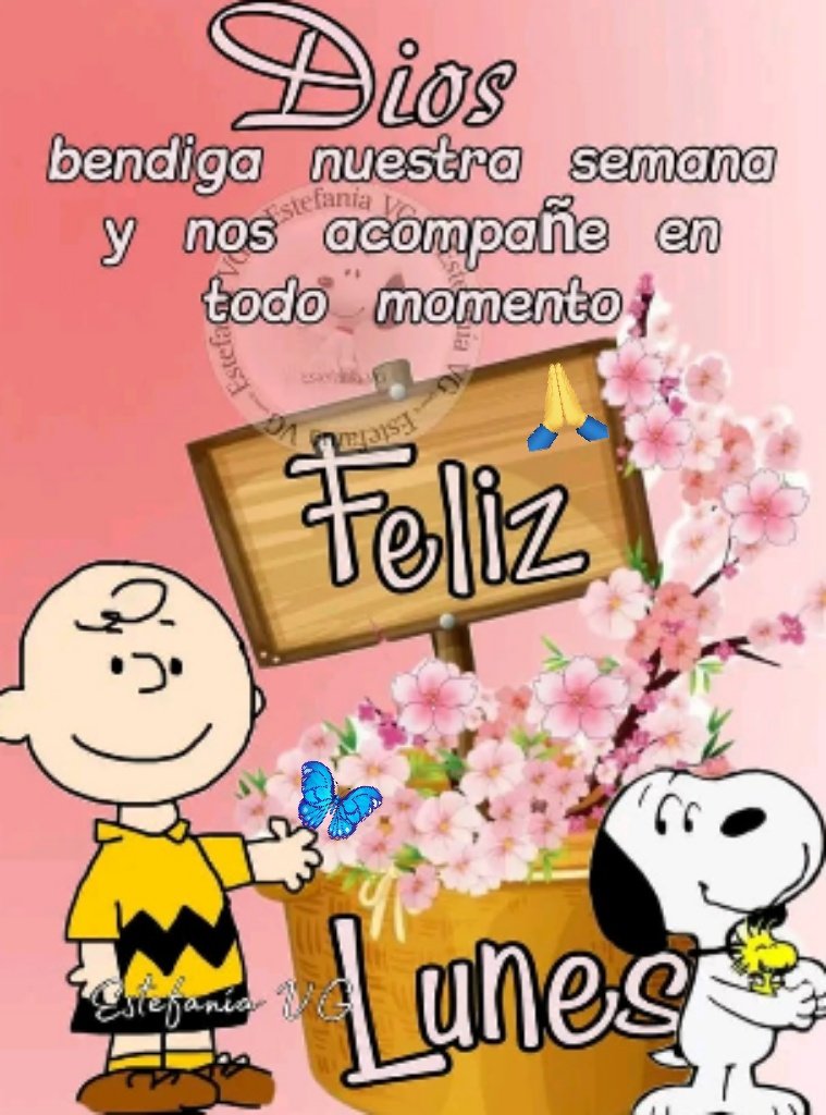 la_coky07's tweet image. Buenos días mis corazones💞
#FelizLunesParaTodos💕
Se les quiere 🤗😘💓 
BENDICIONES 🙏❣️