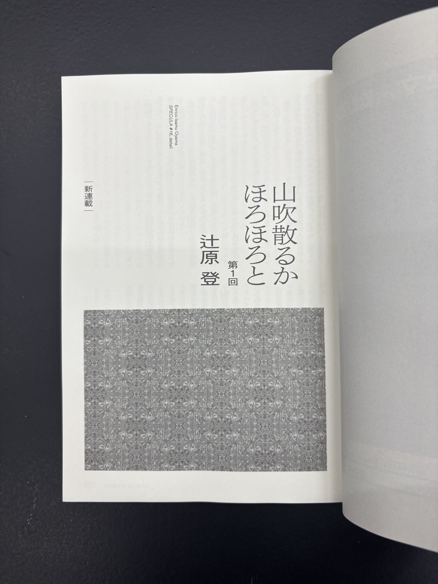 大山エンリコイサム　250枚限定 カタログ詳細（落札結果）｜SBIアートオークション