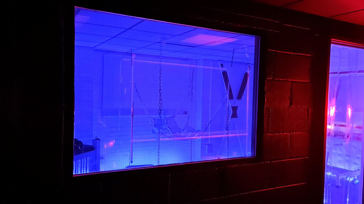 Are you ready to Enter our dungeons. 

You never know who is stood behind the 1 interrogation windows.