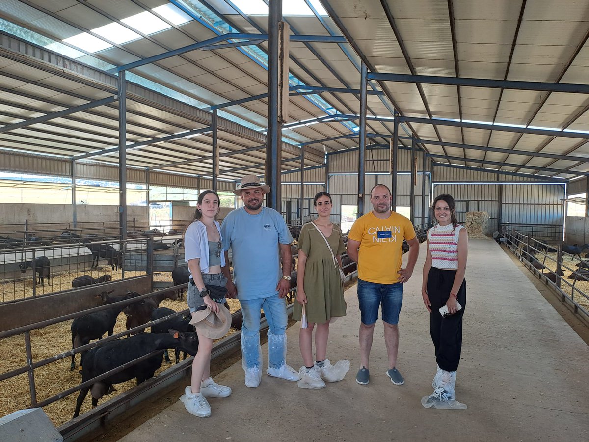 QuesosMontesdeMálaga (@quesosmontesm) on Twitter photo 🚜 Cuatro jóvenes de #AGAMMASUR y PICASAT participan en un intercambio cooperativo en Los Pedroches gracias a <a href="/CoopsAgroAND/">Cooperativas Agro-alimentarias de Andalucía</a>, conociendo el modelo <a href="/Covap/">COVAP</a> 🐐🌿
Una experiencia clave para impulsar el relevo generacional en el campo.
👉agammasur.es/2025/07/07/coo…
#RelevoCoopsAgroAnd 🚜 Cuatro jóvenes de #AGAMMASUR y PICASAT participan en un intercambio cooperativo en Los Pedroches gracias a <a href="/CoopsAgroAND/">Cooperativas Agro-alimentarias de Andalucía</a>, conociendo el modelo <a href="/Covap/">COVAP</a> 🐐🌿
Una experiencia clave para impulsar el relevo generacional en el campo.
👉agammasur.es/2025/07/07/coo…
#RelevoCoopsAgroAnd