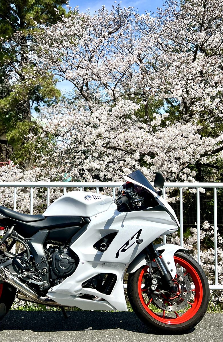Ternat69's tweet photo. #R7年7月7日はR7記念日
#R7 #yzfr7 https://t.co/BF18wlHqVB