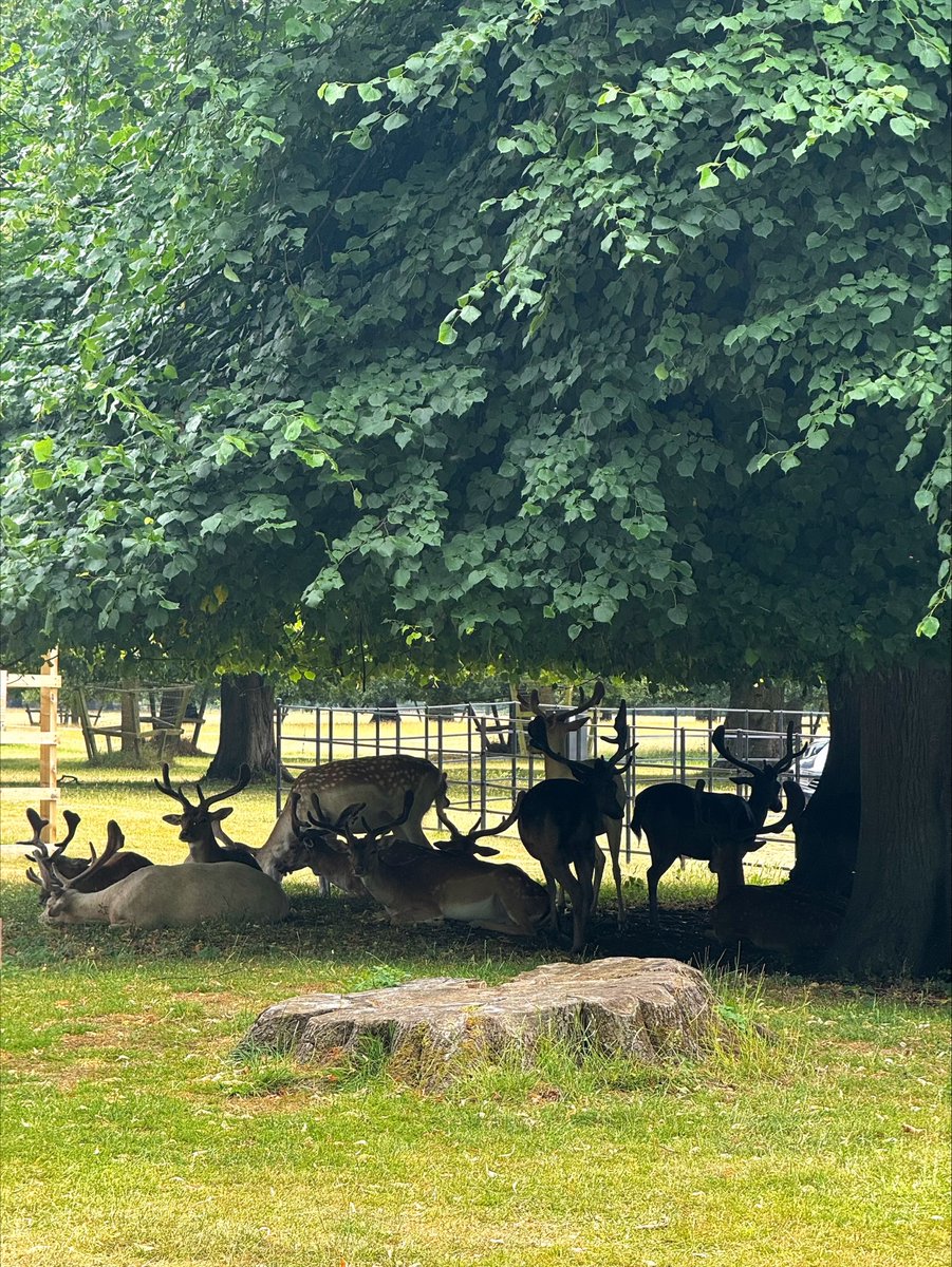 We had a lovely time at Belton Estate as part of the Lincolnshire Chamber of Commerce Netwalking series last week.

Kathryn and Lily joined a walk around the grounds and along the River Witham led by Woodland and National Trust Ranger, John Beirne. Thank you for having us!🌳