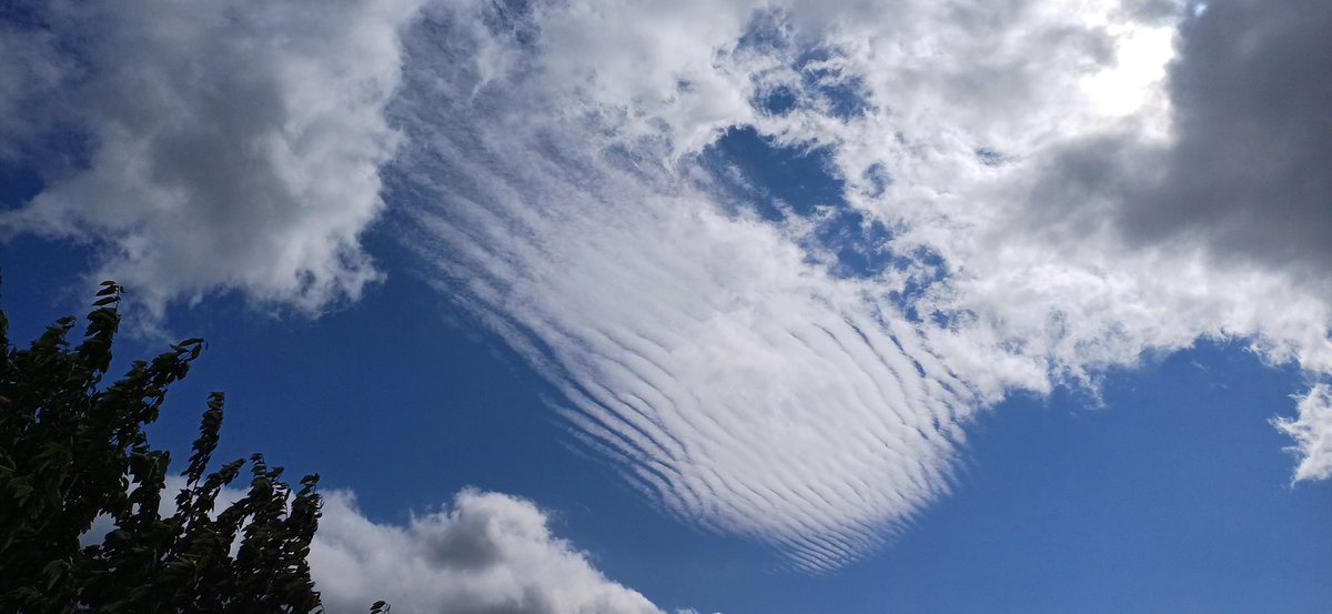 Evelyn (@evelynleebody) on Twitter photo <a href="/barrabest/">Barra Best</a> <a href="/WeatherCee/">Cecilia Daly</a> <a href="/geoff_maskell/">Geoff Maskell</a> <a href="/bbcniweather/">BBC NI Weather</a> <a href="/Louise_utv/">Louise Small</a> <a href="/WeatherAisling/">Aisling Creevey</a> @<a href="/utvweather/">UTV Weather</a> A selection of clouds in the sky this afternoon <a href="/barrabest/">Barra Best</a> <a href="/WeatherCee/">Cecilia Daly</a> <a href="/geoff_maskell/">Geoff Maskell</a> <a href="/bbcniweather/">BBC NI Weather</a> <a href="/Louise_utv/">Louise Small</a> <a href="/WeatherAisling/">Aisling Creevey</a> @<a href="/utvweather/">UTV Weather</a> A selection of clouds in the sky this afternoon