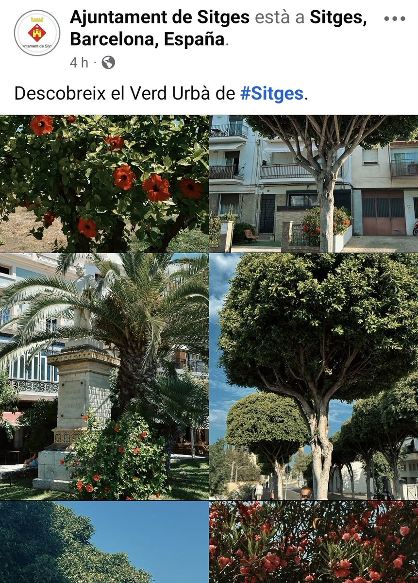 Ja està bé de penjar fotos venent com un èxit feines del dia a dia. Mantenir els carrers nets i arreglats no és notícia, és obligació. El gran equip de comunicació,  entre empreses externes i assessors, deuen trepitjar poc el carrer abans de publicar segons què... @ajsitges