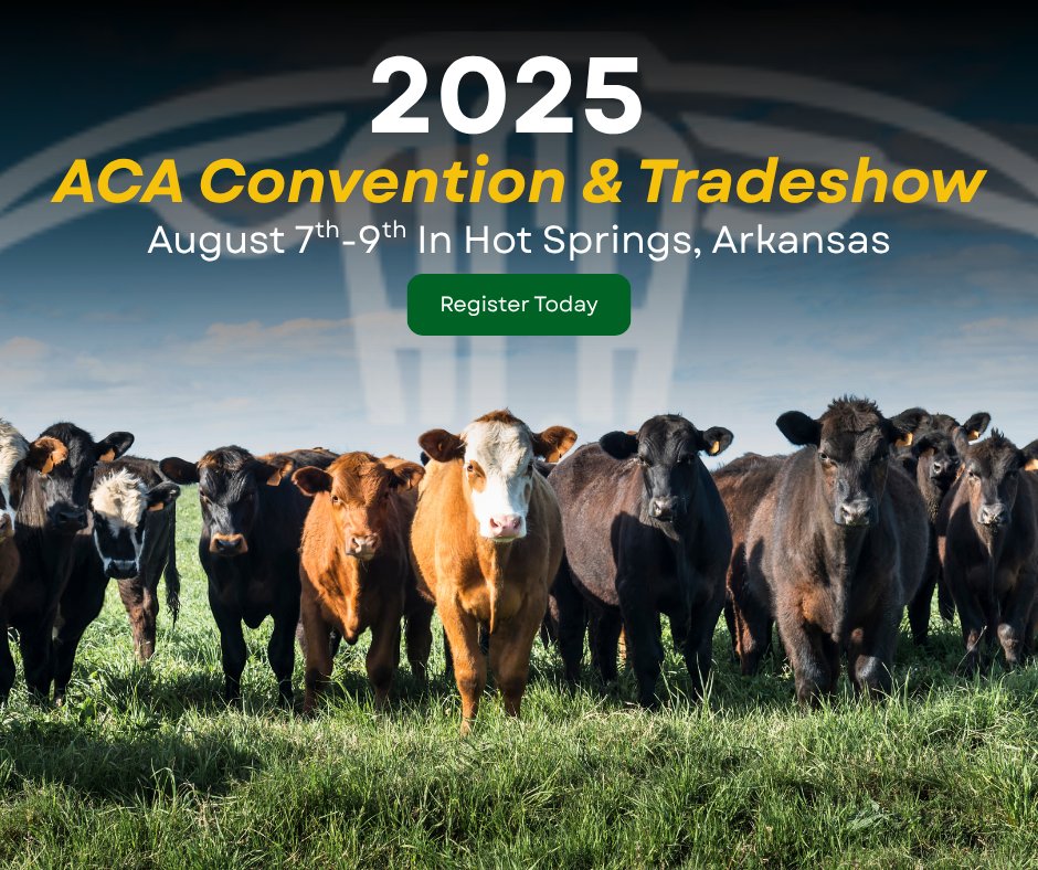 arkansassoybean's tweet image. We’re heading to the Arkansas Cattlemen’s Convention & Trade Show August 7th-9th in Hot Springs! Stop by and learn how soy supports livestock production.
Make plans to attend and register today: monkeylink.co/987972
#ArkansasProducer #SoybeanProducer #ArkansasSoybeans