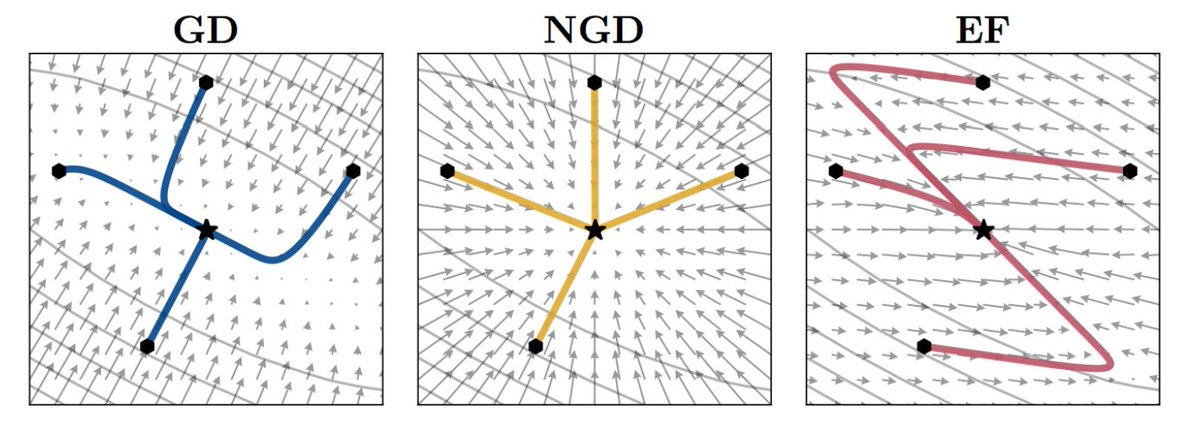 Empirical Fisher (aka estimating Hessian using training labels instead of sampling from model outputs) is one of the biggest scams surrounding neural networks.