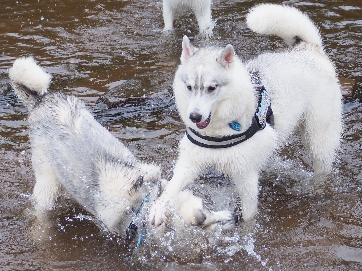 福丸「沈めるってのはこうだよｯｯ」