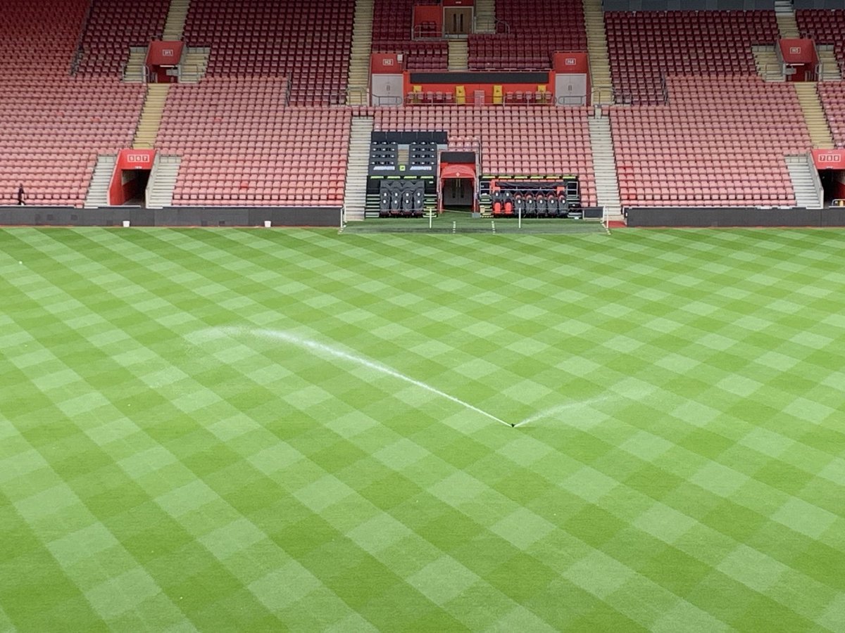 stevenew12's tweet image. Update 3. 19 days from seeding. Pitch had a rest this weekend (as did we) The weather helped over the weekend and all is looking good so far. As I’ve said before, we take nothing for granted and are keeping a close eye on it. @dogpockets @GJMills2000 #SaintsFC