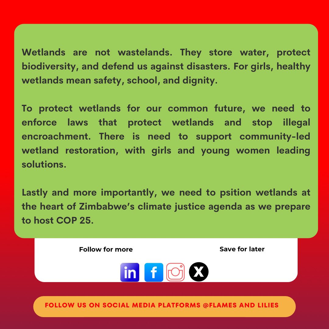 Flames and Lilies Climate Initiative (@flamesandlilies) on Twitter photo #FactMonday | Countdown to #COP15
Wetlands are climate heroes 🌱 They protect biodiversity, reduce flood risks & offer nature-based solutions.
In 🇿🇼, <a href="/FAO/">Food and Agriculture Organization</a> is working with the govt & communities to restore these vital ecosystems.
🔗 fao.org/africa/news-st… #FactMonday | Countdown to #COP15
Wetlands are climate heroes 🌱 They protect biodiversity, reduce flood risks & offer nature-based solutions.
In 🇿🇼, <a href="/FAO/">Food and Agriculture Organization</a> is working with the govt & communities to restore these vital ecosystems.
🔗 fao.org/africa/news-st…