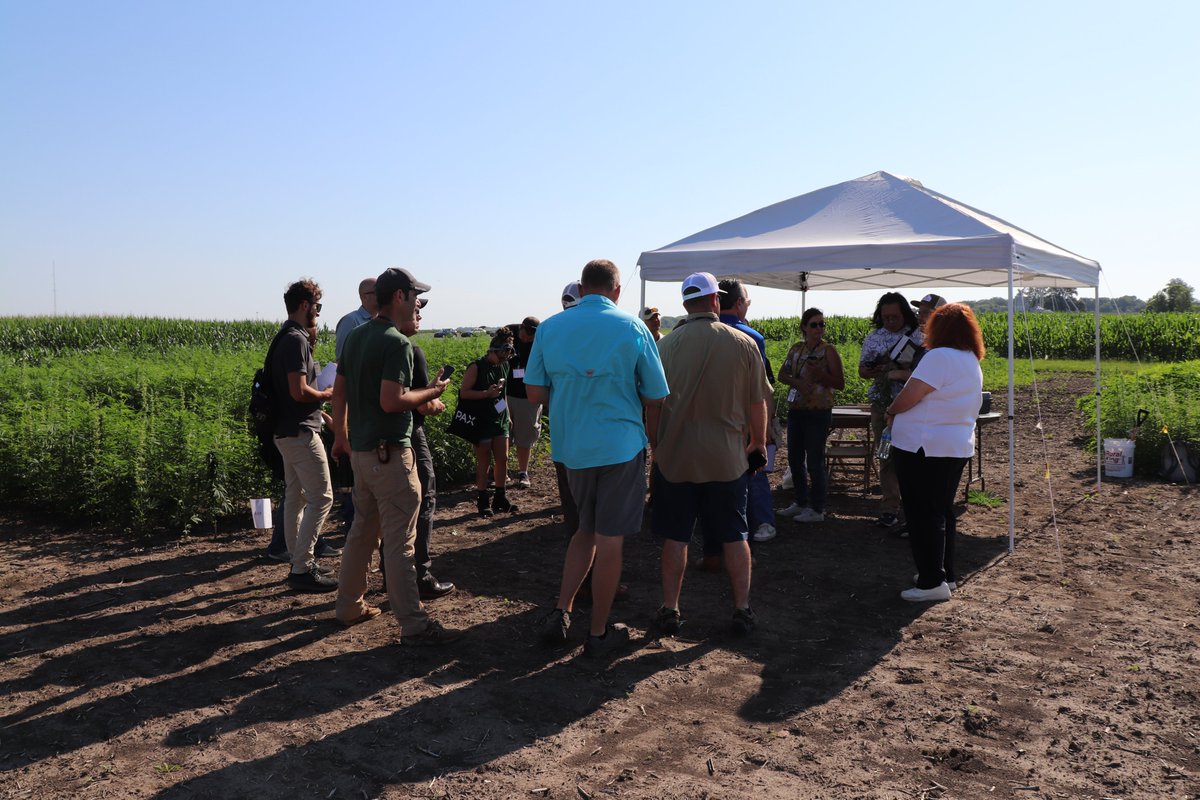 PurdueAgryExt's tweet image. Did you know that Purdue Extension offers a Hemp Field Day? Our team will take you to the fields and through the research of the latest production & feed updates in Hemp. Register today: purdue.ag/hemp-field-day Lunch included with $25 registration. @PurdueHemp @PurdueAgronomy