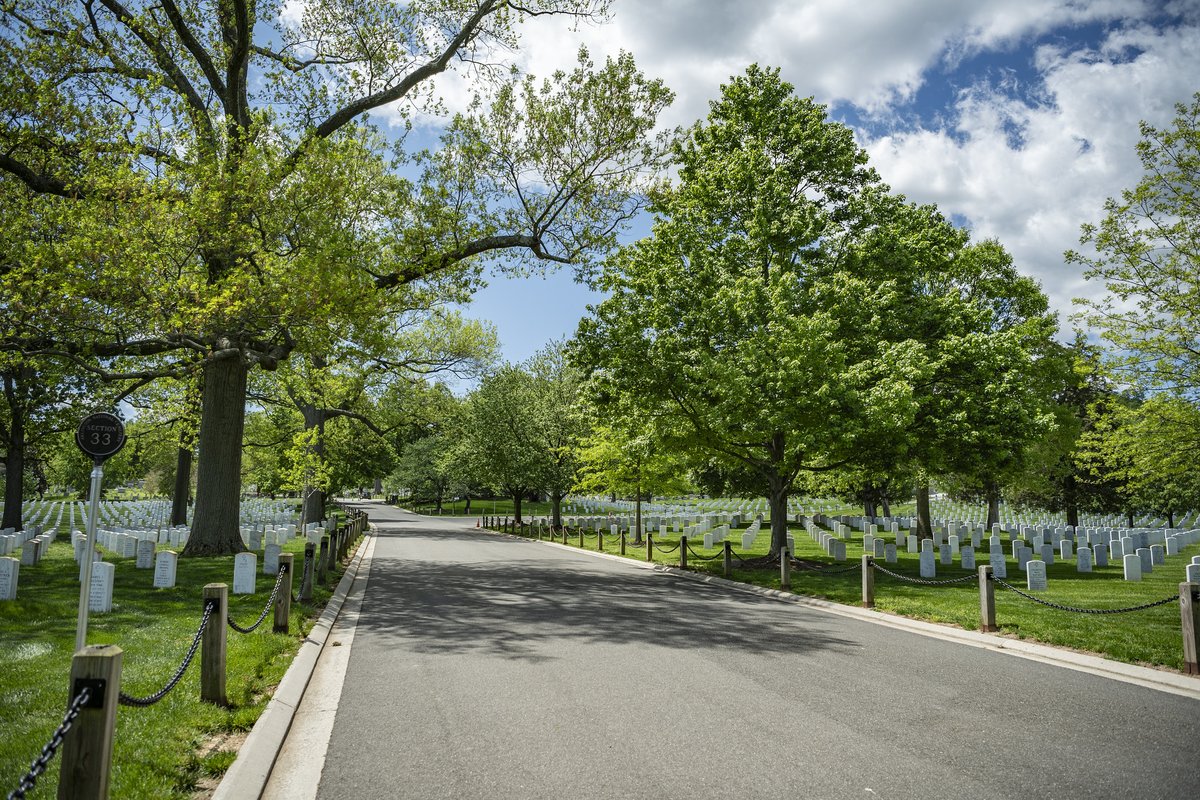 ArlingtonNatl's tweet image. UPDATE: The ANC website and ANC Explorer app are still unavailable due to a temporary outage. Our team is working diligently to restore service. We appreciate your continued patience.