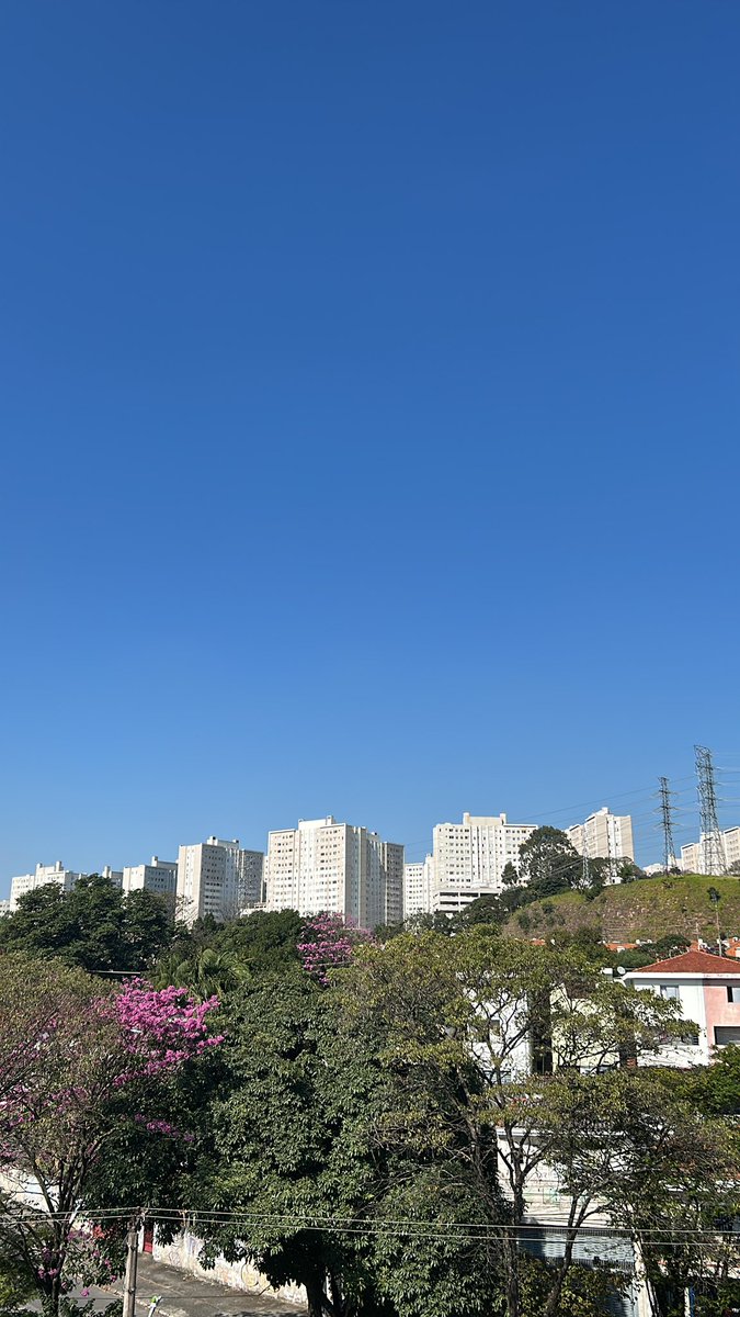 _7iago's tweet image. gm gm
Últimos dias em SP, o frio na barriga já chegou, mas, agora é a hora!
Procure a sua paz! ✌🏽