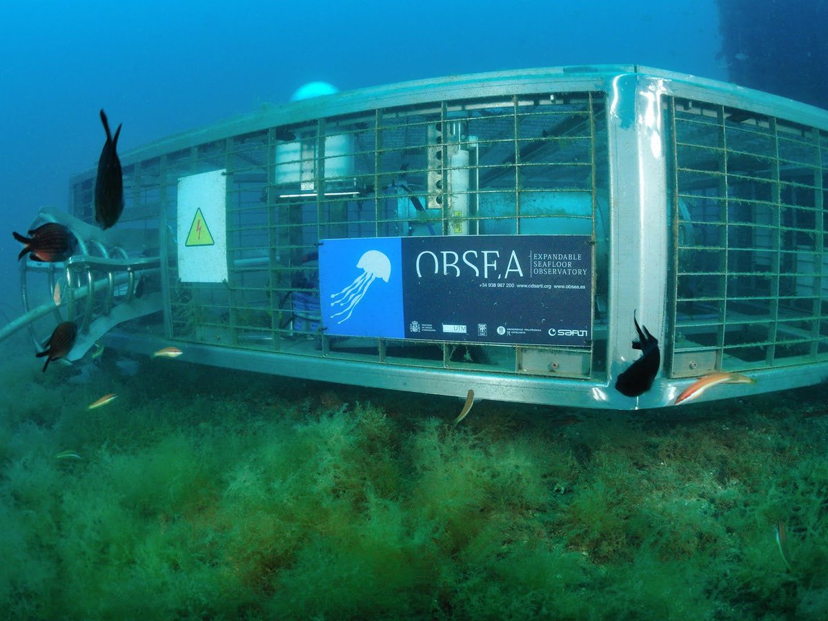 EMSOeu's tweet image. New results from OBSEA!
📉10 years of imagery show declining coastal fish biodiversity.
🧬eDNA + cameras = better species detection.
Seafloor observatories are key to tracking change
emso.eu/2025/07/07/two…

#MarineScience #eDNA #OBSEA #OceanMonitoring #CabledObservatory #EMSO