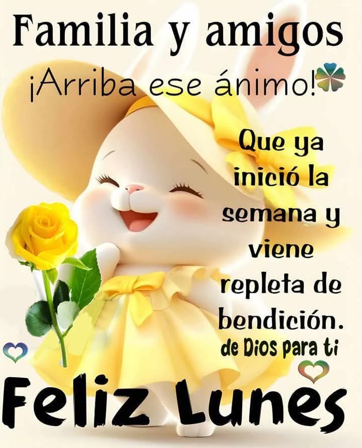 Feliz lunes para todos ❤️