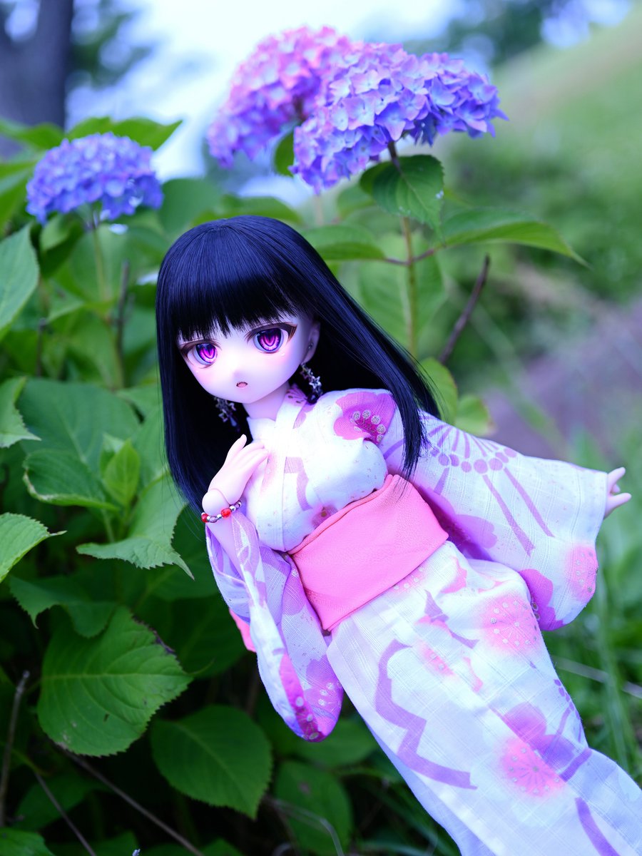 #浴衣の日
日付越えちゃったけどまだロスタイム……🫣
紫陽花イマイチだけど色気がすごい魅十葉ちゃん👘✨

#きな娘 #なにぬねこもの #ScarletAlice #今日のみとは #びぃドール