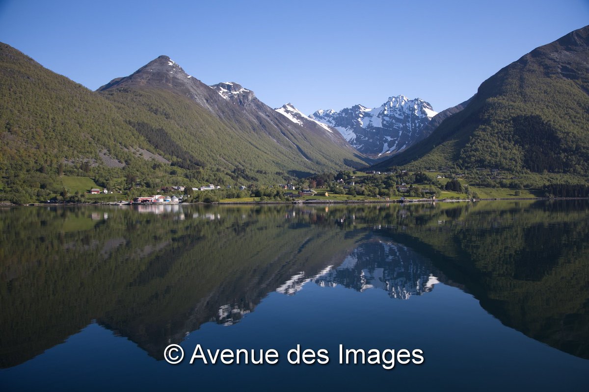 Avenue des Images tweet media